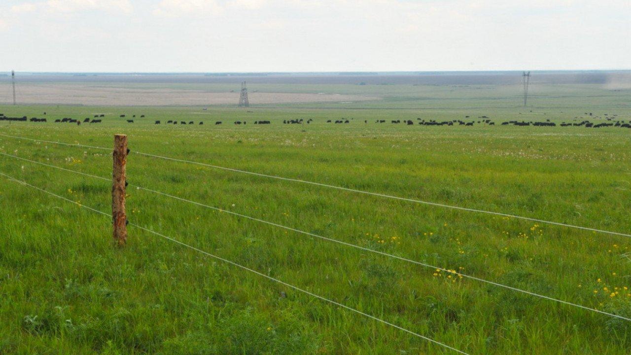 Жерді 49 жылға дейін жалға беру: Мәжіліс заң жобасын мақұлдады