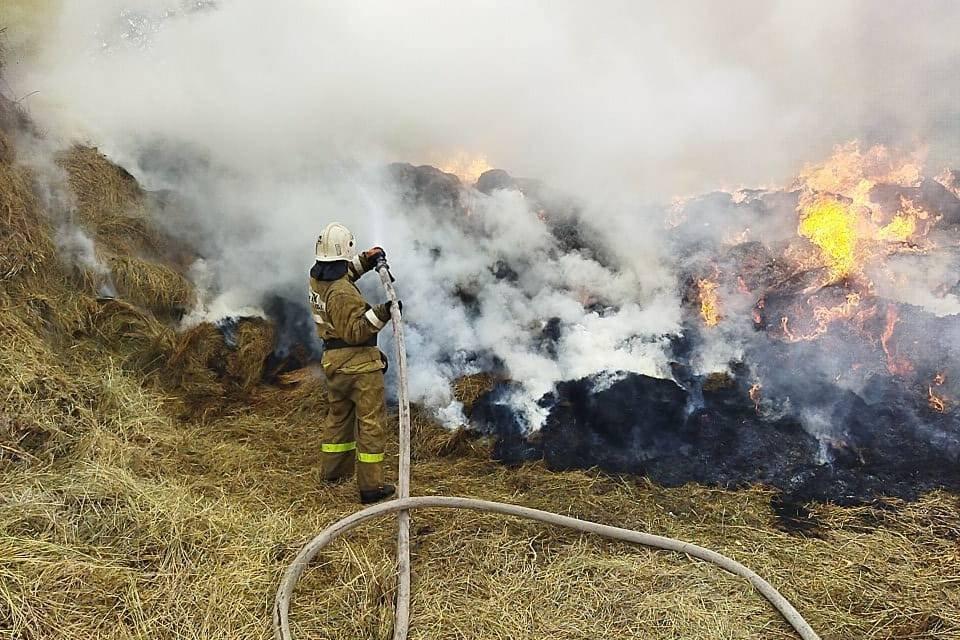 Атырауда өртенген шөптің арасынан үш баланың мәйіті табылды