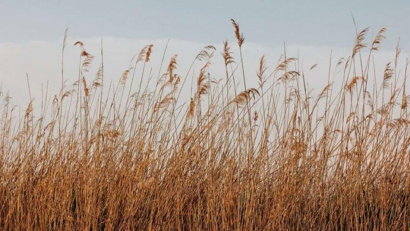 Еліміздің жеті аймағында дауылды ескерту жарияланды