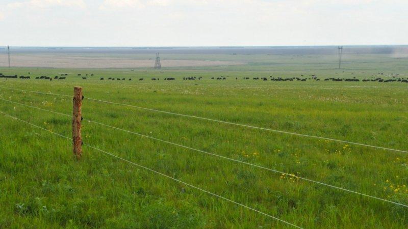 Жерді 49 жылға дейін жалға беру: Мәжіліс заң жобасын мақұлдады